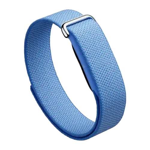 Google Fitbit Air