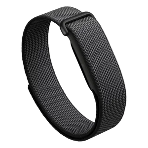 Google Fitbit Air