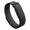 Google Fitbit Air